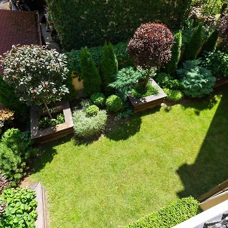 Didi's Designer Daire