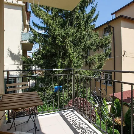 Didi's Designer * Sofia