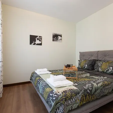 Didi's Designer * Sofia