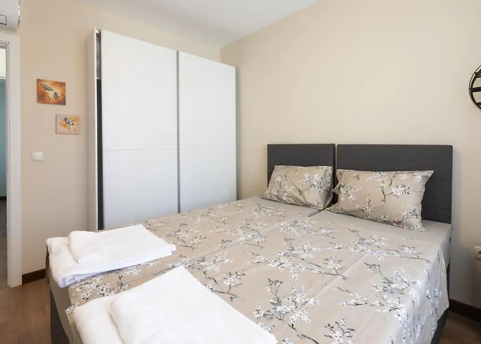 Didi's Designer Sófia