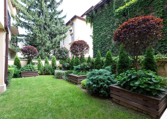 Didi's Designer * Sofía