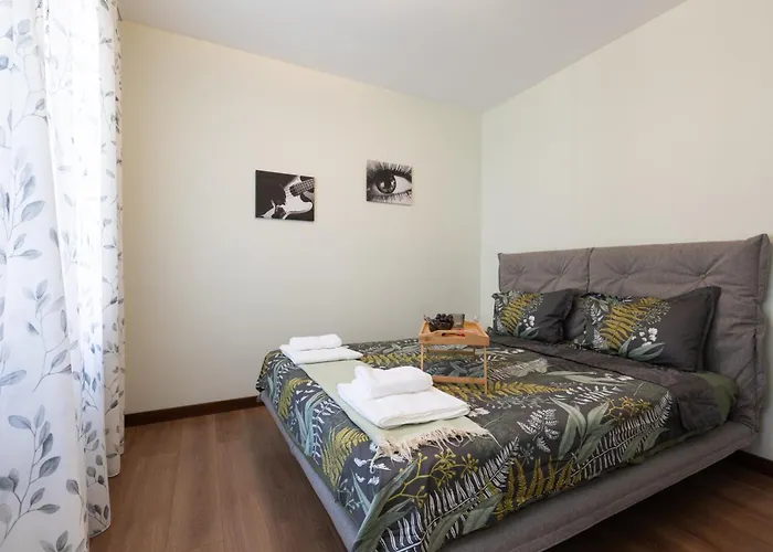 Didi's Designer * 索菲亞